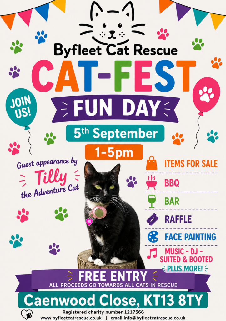 Cat Fest Fun Day